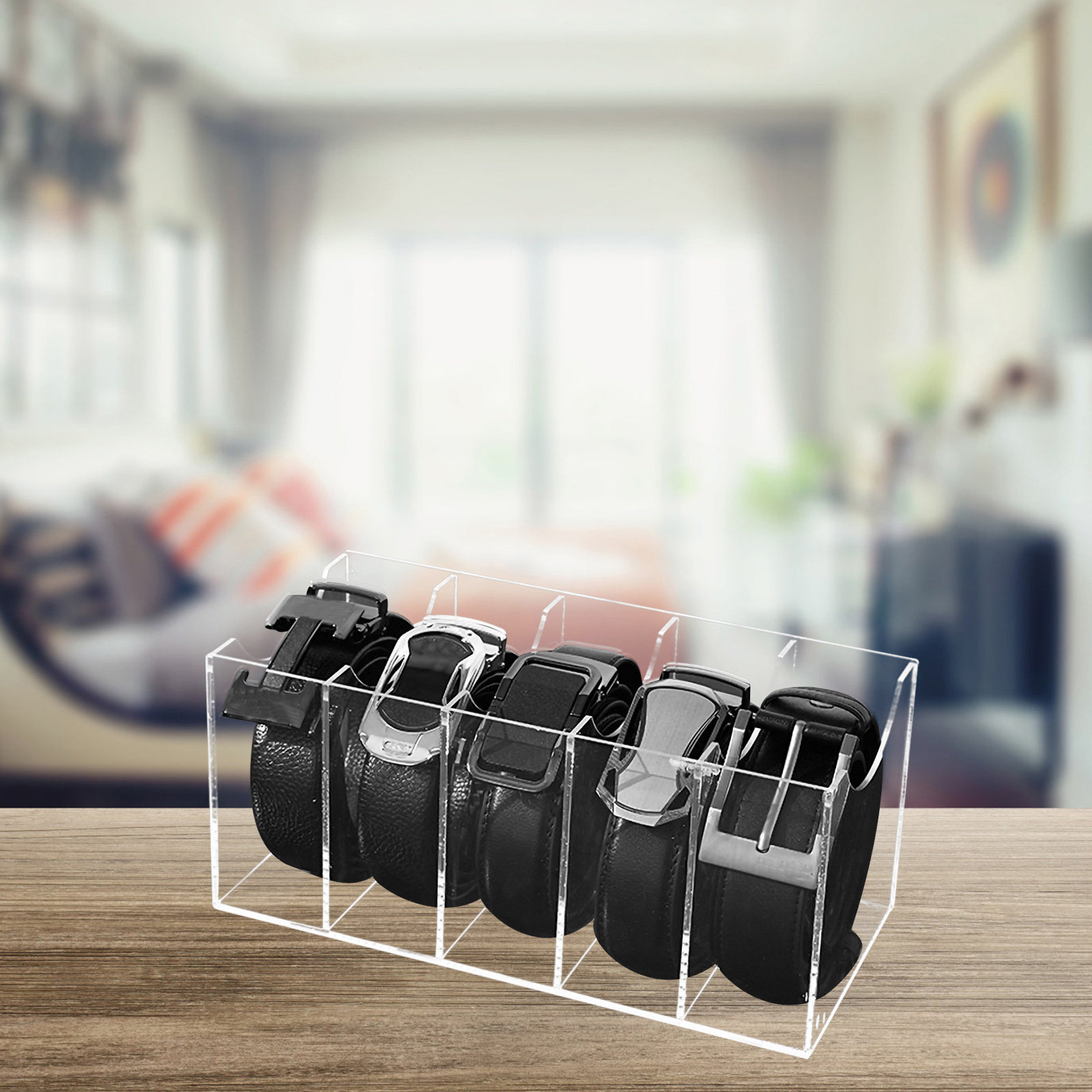 5-Compartment Transparent Belt - Men'S Accessories Holder ulasan dan harga
