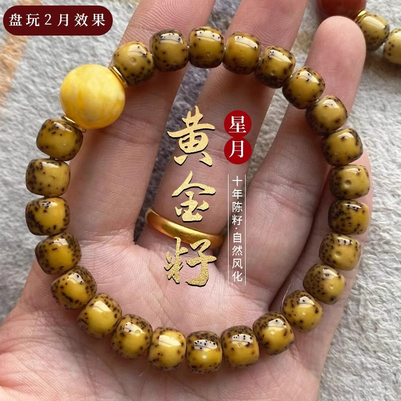 High Density Golden Seed Star  - Bracelet Beaded Men ulasan dan harga